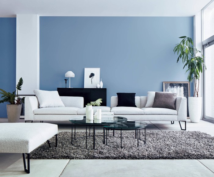 How to decorate a light blue living room